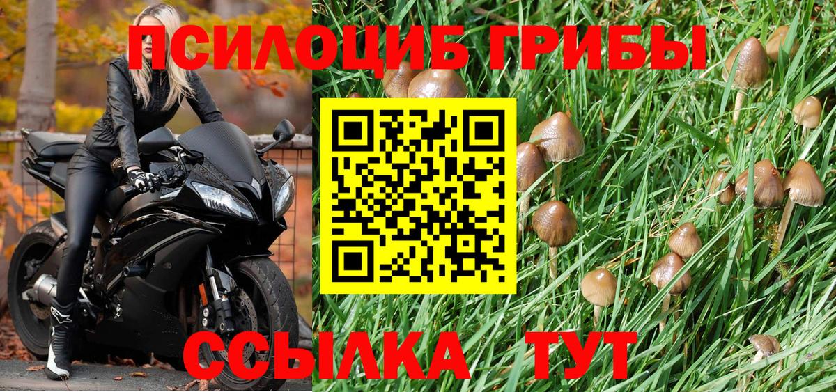 Югорск  Галлюциногенные грибы мицелий  Вход с VPN 